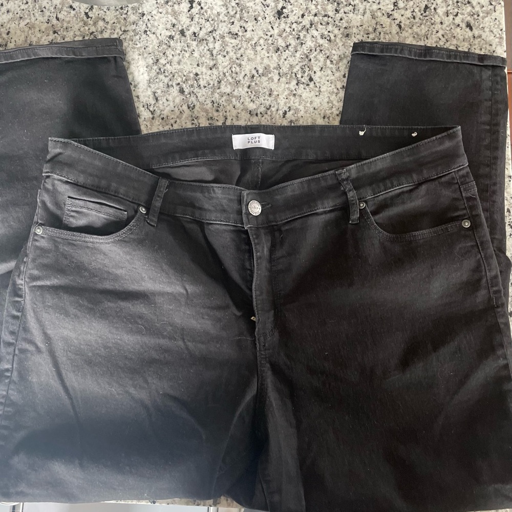 Loft Plus Women’s Black Modern Straight-Leg Jeans